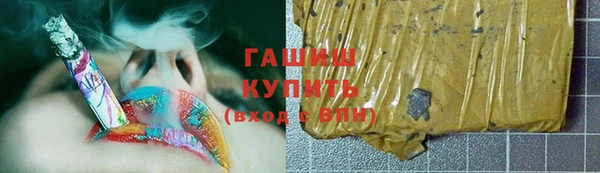 шишки Коряжма