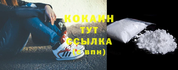 шишки Коряжма
