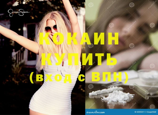 шишки Коряжма