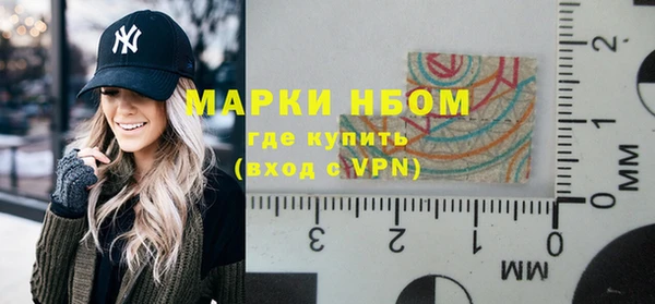 молекула духа Козельск
