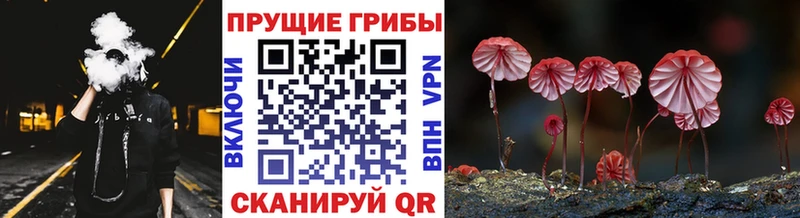 Псилоцибиновые грибы MAGIC MUSHROOMS  Купить где  Балахна 